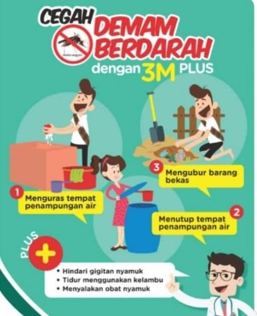 Program Pemberantasan DBD